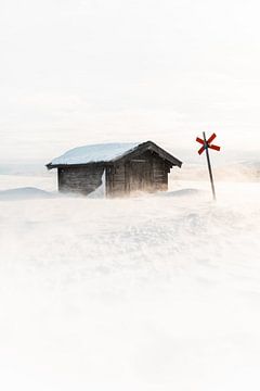 Zweedse hut in de sneeuw van Prints by Abigail Van Kooten