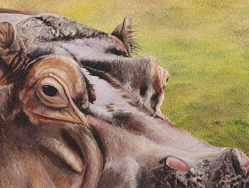 Nilpferd von Russell Hinckley