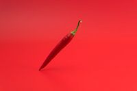 Red hot pepper