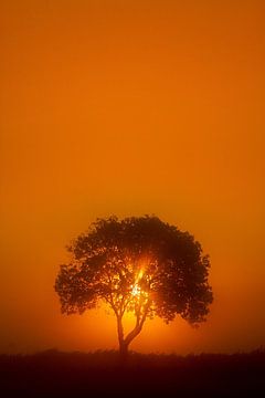 Sunrise van Halma Fotografie