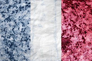 Tricolor van Grüntyers .