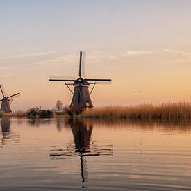 Moulins à vent Kinderdijk Lever de soleil sur Cynthia van Diggele