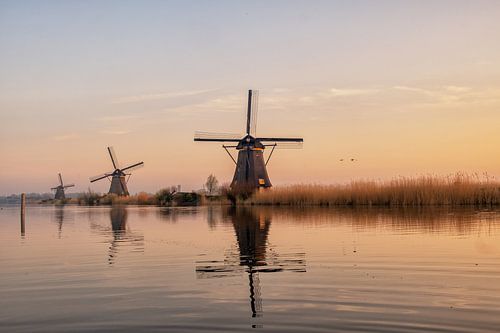 Moulins à vent Kinderdijk Lever de soleil