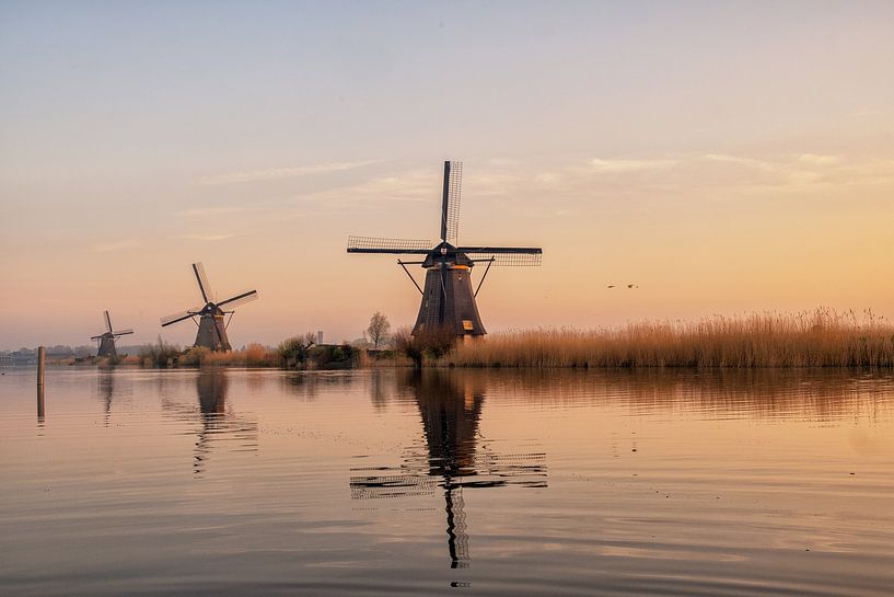 Windmills Kinderdijk Sunrise by Cynthia van Diggele