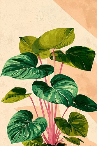 Philodendron in soft pink no. 3