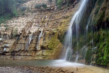 Spring Water by Cornelis (Cees) Cornelissen