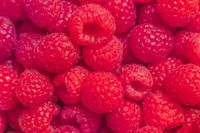 Close-up van frambozen - natuurlijke versheid