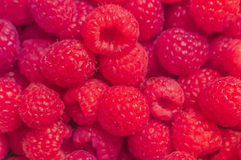 Himbeeren in Nahaufnahme – natürliche Frische