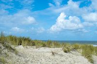Cadzand-bad, dunes with grass and the sea