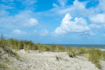 Cadzand-bad, des dunes avec de l'herbe et la mer sur Jolanda de Jong-Jansen