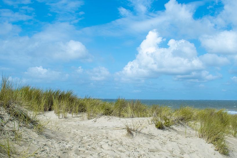 Cadzand-bad, des dunes avec de l'herbe et la mer par Jolanda de Jong-Jansen