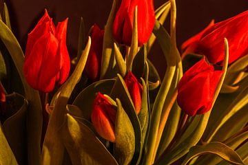 Red tulips van Michael Nägele