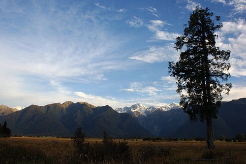 Southern Alps in de avondzon