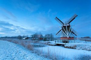 Dutch beauty von Olha Rohulya