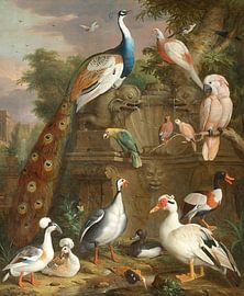 An assembly of birds in a parkland landscape, Jakob Bogdány