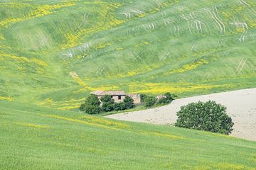 Val d'Orcia in Tuscany by Walter G. Allgöwer