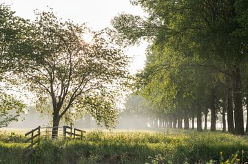 Landschappen 2 van Mariëlle de Valk