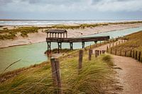 Steg in den Dünen und der Nordsee (Niederlande)