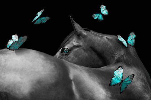 Betoverende Muurdecoratie: Zwart Paard met Blauwe Vlinders - Harmonieuze Kunstprint