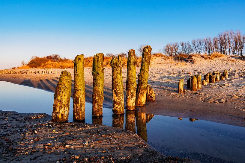 Buhnen an der Küste der Ostsee bei Kühlungsborn von Rico Ködder