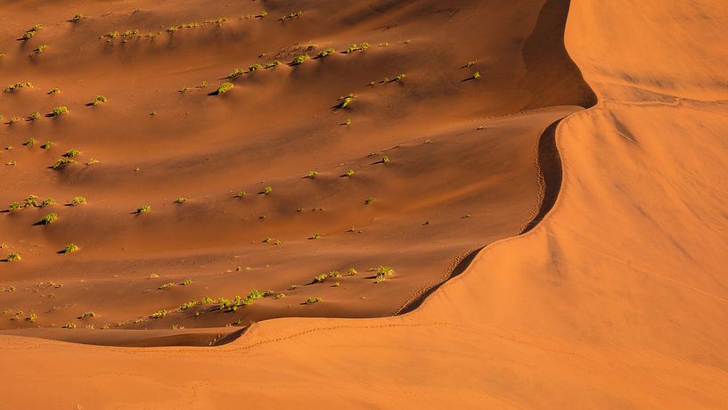 Dune de sable rouge - Sossusvlei, Namibie par Martijn Smeets
