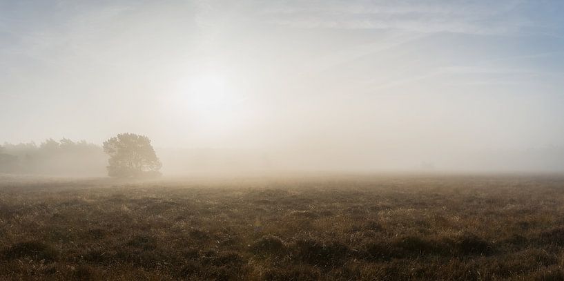 Quand les arbres traversent le brouillard par Mart Houtman