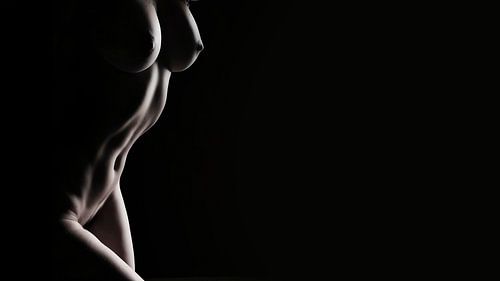 Naked Woman in Shadow Play