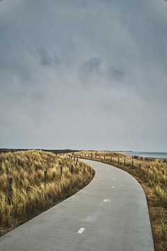 Fietspad texel van Robbert Frie