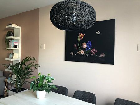 Love is in the shell