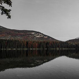 Spiegelungen auf dem Wasser bei Pyramid Island im Jasper-Nationalpark in der Provinz Alberta in Kanada von Koen Lipman