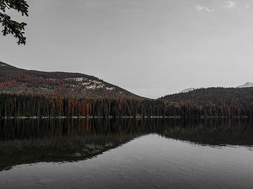 Reflecties op het water bij Pyramid Island in het Jasper Nationale Park in de provincie Alberta in Canada