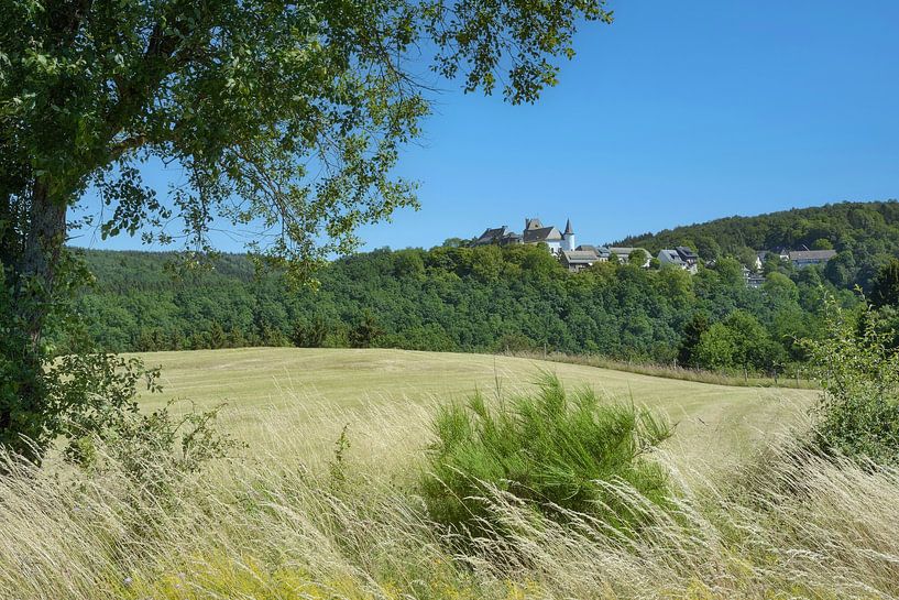 Ort und Burg Wildenburg (Hellenthal) in der Eifel,NRW,Deutschland von Peter Eckert