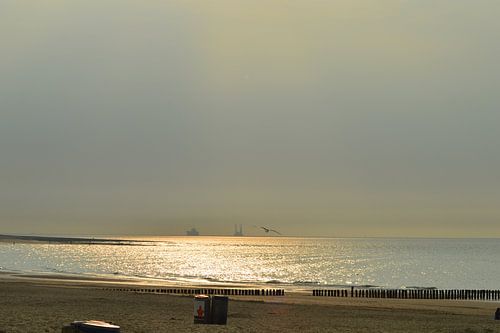 plage des mouettes