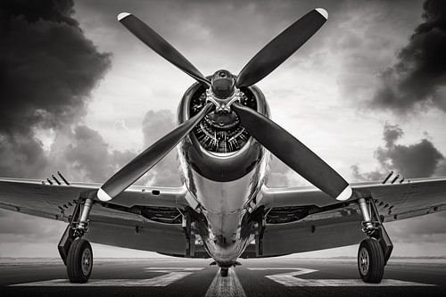 the p47
