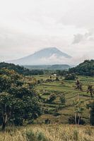 Paradijselijk Uitzicht: Rijstvelden en Mount Agung in Betoverend Bali