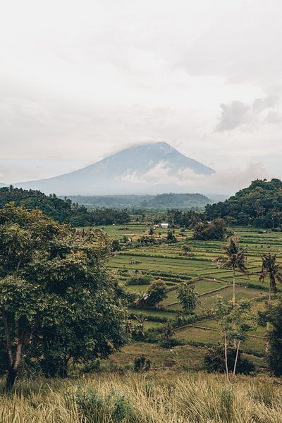 Vues du paradis : Rizières et Mont Agung dans l'enchanteresse Bali par Troy Wegman