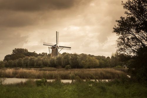 Molen in Colijnsplaat - Provincie Zeeland - Nederland