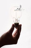 Beyond The Light Bulb: Thinking Creativity and Innovation Ahead
