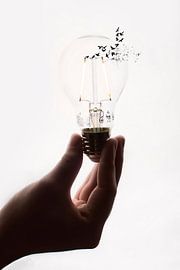 Jenseits der Glühbirne: Kreativität und Innovation weiterdenken von Elianne van Turennout