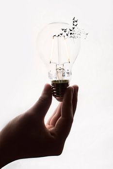 Verder Dan Het Gloeilampje: Creativiteit en Innovatie Vooruitdenken