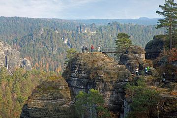 View from the Bastei Bridge to the rock castle Neurathen (Elbe Sandstone Mountains) by t.ART