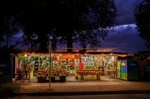 Brightly lit flower stand at evening with mysterious sky during sunset.