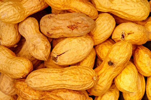 Pinda's in de dop als achtergrond