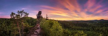 Sonnenuntergang im Pfälzer Wald von Voss Fine Art Fotografie