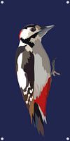 Spotted Woodpecker