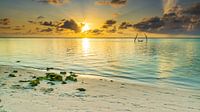 Sunset on the beach