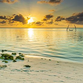 Sunset on the beach by Oli N