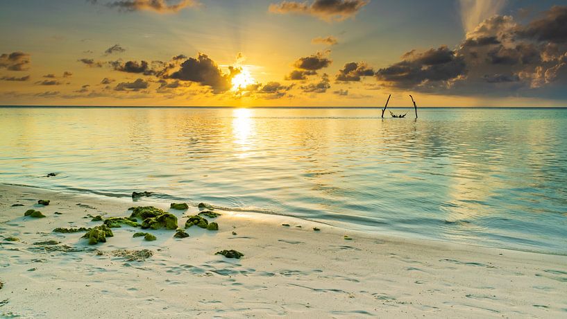Sunset on the beach by Oli N