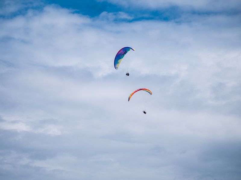 Aerial friends by MDGshots
