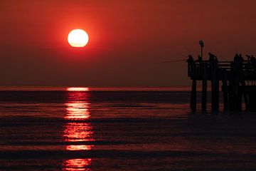 FISCHLAND-DARSS-ZINGST Seebrücke Wustrow - late fishing